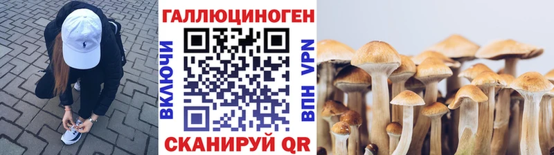 Псилоцибиновые грибы мицелий Вельск